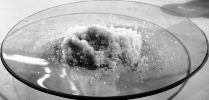 Ammonium carbonate manufacturers