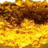 Ferric chloride hexahydrate manufacturers